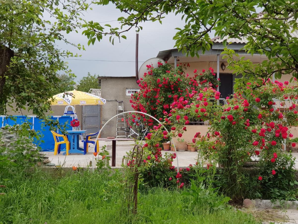 Dashbashi Family Hotel Maia - Cемейная Гостиница Майя מראה חיצוני תמונה