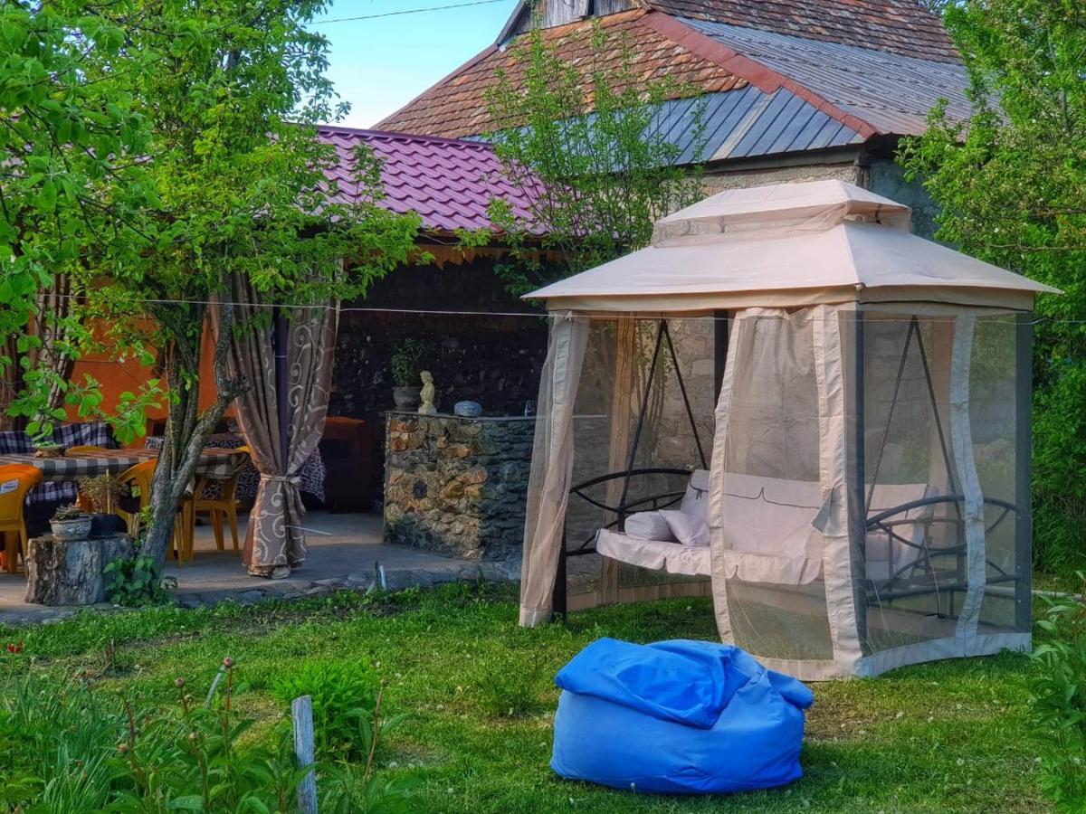 Dashbashi Family Hotel Maia - Cемейная Гостиница Майя מראה חיצוני תמונה