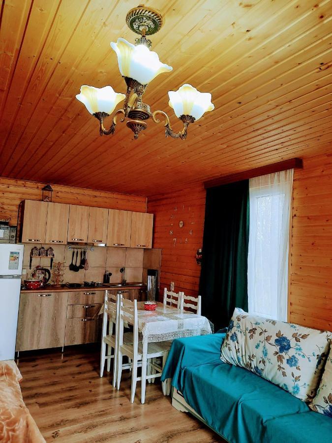 Dashbashi Family Hotel Maia - Cемейная Гостиница Майя מראה חיצוני תמונה